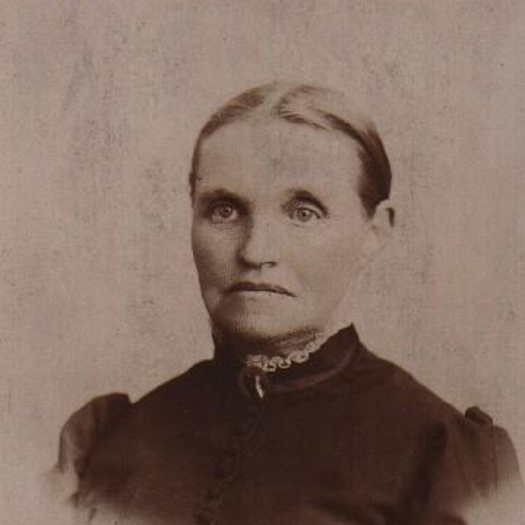 Harriet Delight Warner (1831 - 1905) Profile